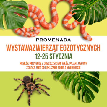 WYSTAWA ZWIERZĄT EGZOTYCZNYCH – PRZEŻYJ PRZYGODĘ Z DRESZCZYKIEM!