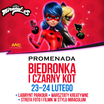 Wielka przygoda z Biedronką i Czarnym Kotem!