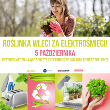 ROŚLINKA WLECI ZA ELEKTOŚMIECI
